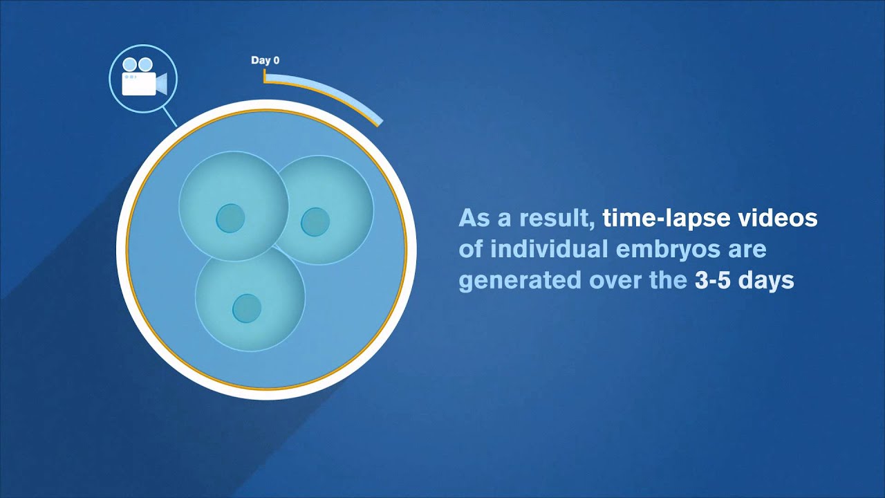 EmbryoScope Patient Information