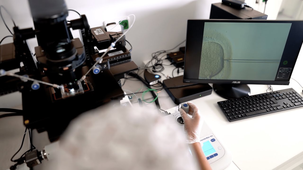 Über die gespendeten Eizellen | FertilityPort Prague